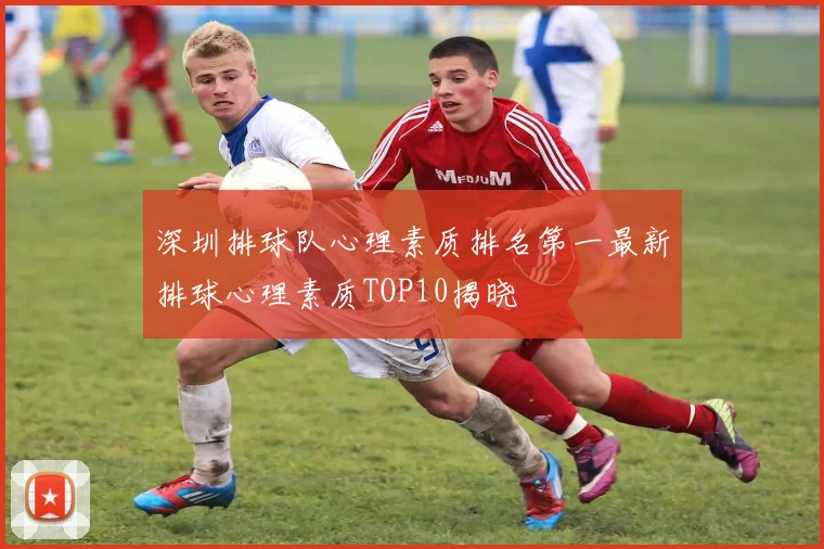 深圳排球队心理素质排名第一最新排球心理素质TOP10揭晓