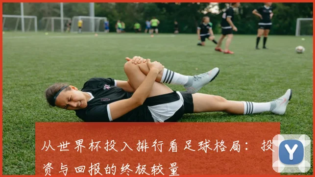 从世界杯投入排行看足球格局：投资与回报的终极较量